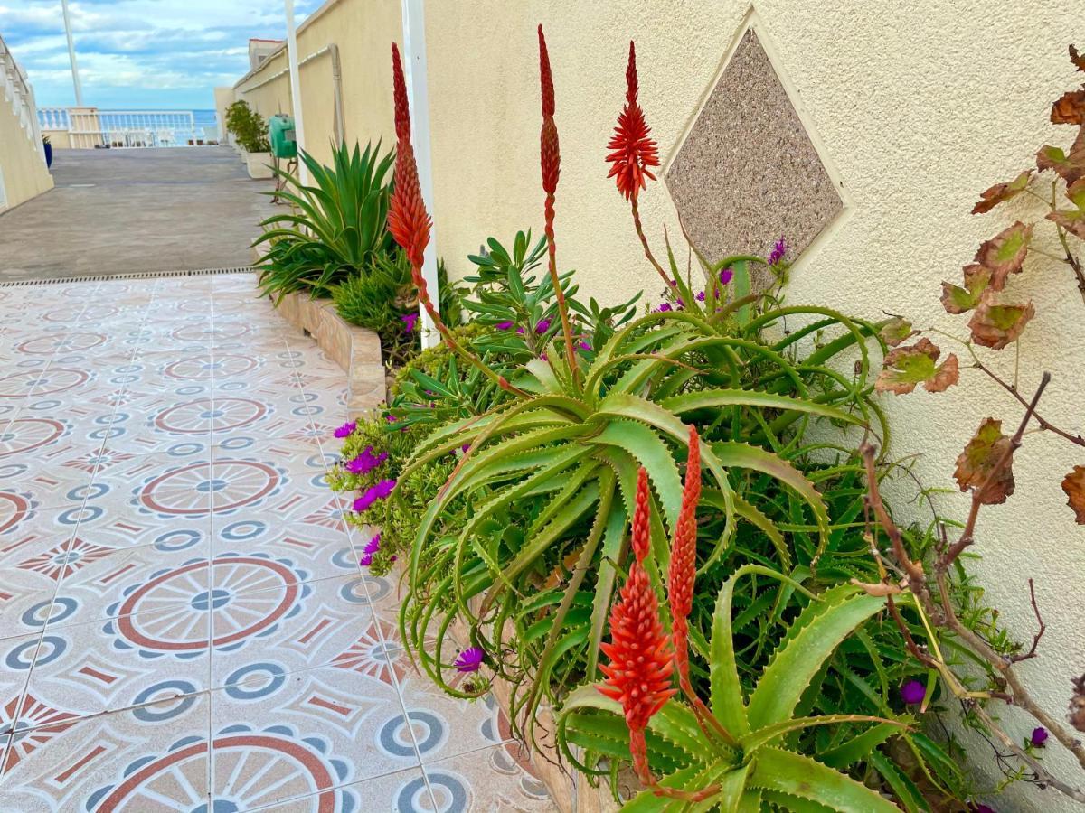 Royal Beach House Vista Mar La Mata  Esterno foto